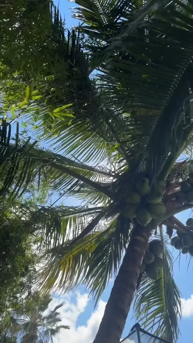 Featured designer image #118