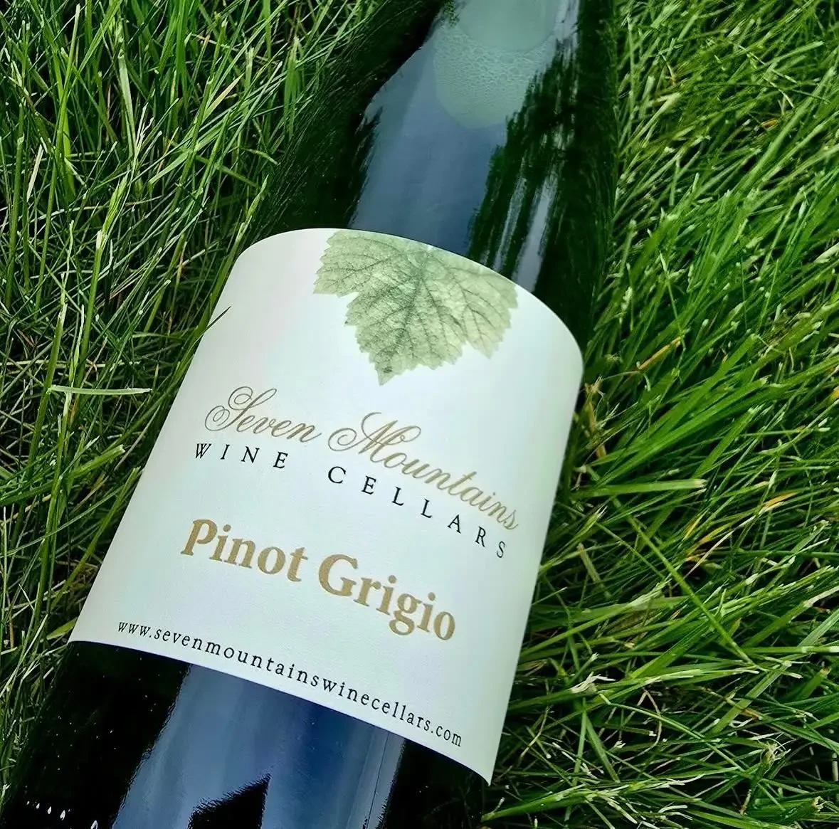 Featured designer image #111